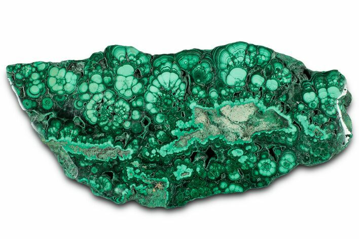 Flowery Polished Malachite Slab - DR Congo #350824